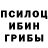Псилоцибиновые грибы мицелий Ice Phoenix