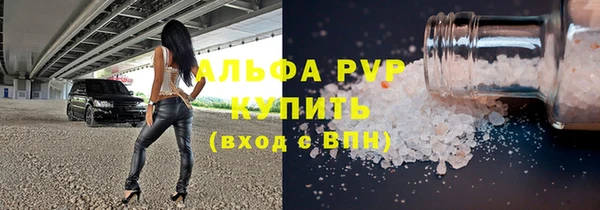 индика Алексин