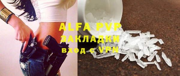 индика Алексин
